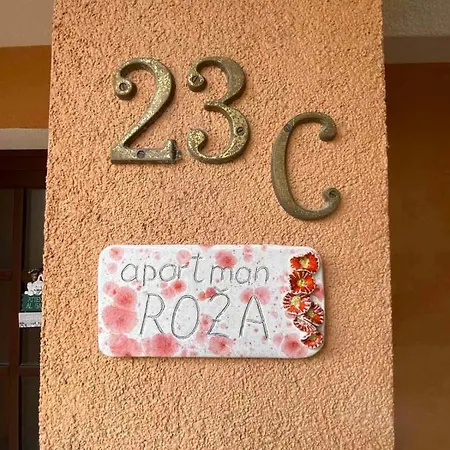 Rose-2025 Renovated Garden View