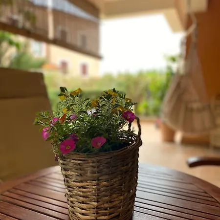 Rose-2025 Renovated Garden View *