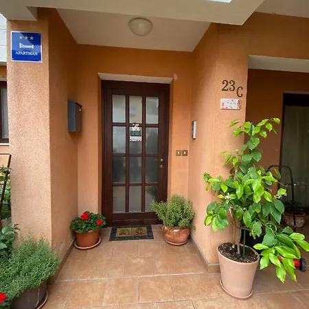 Rose-2025 Renovated Garden View * פורץ